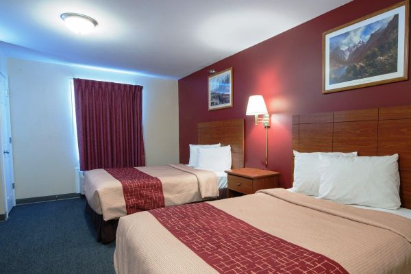 Hotel Red Roof Suites Dickinson